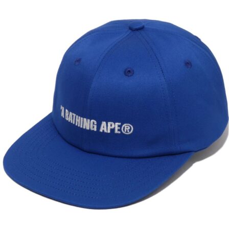 Logo Panel Blue Cap
